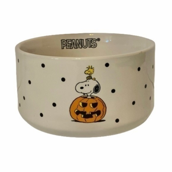 NWT. RAE DUNN X PEANUTS Snoopy Candy Bowl/Pet Dish - Picture 1 of 7
